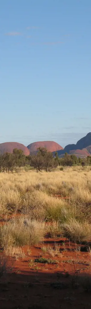 Die Olgas